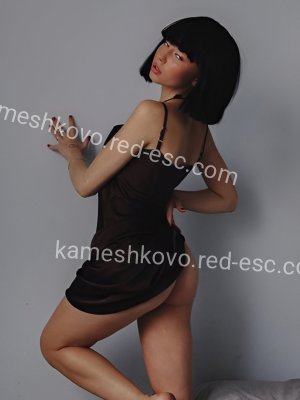 Адель — Кулебаки